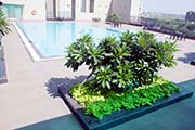 images/album/2/15.jpg