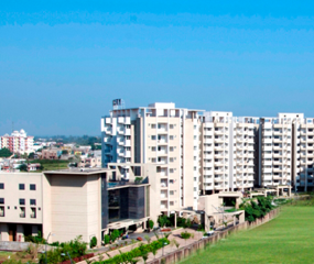 portfolio-image