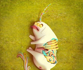portfolio-image